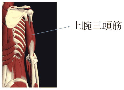 ヨガ 銀座 少人数制 ヨガスタジオ パーソナルヨガ