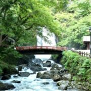 大阪☆北摂地域、箕面市のヴィーガン(ビーガン)レストラン、カフェ２店 2