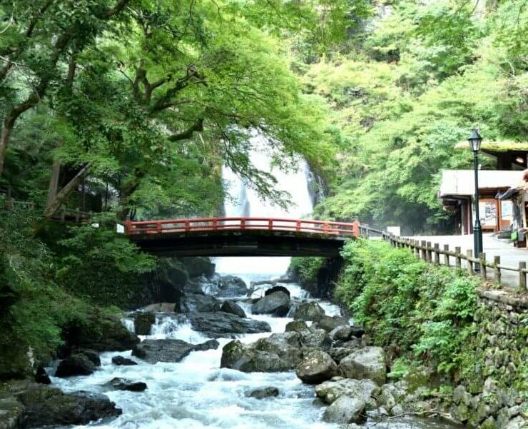 大阪☆北摂地域、箕面市のヴィーガン(ビーガン)レストラン、カフェ２店 13