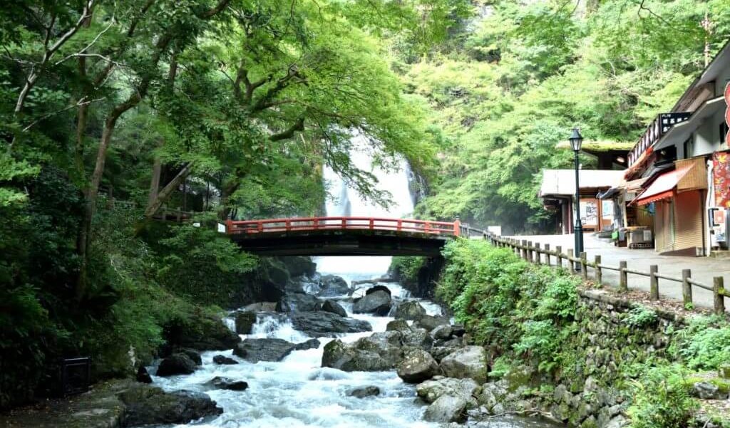 大阪☆北摂地域、箕面市のヴィーガン(ビーガン)レストラン、カフェ２店 1