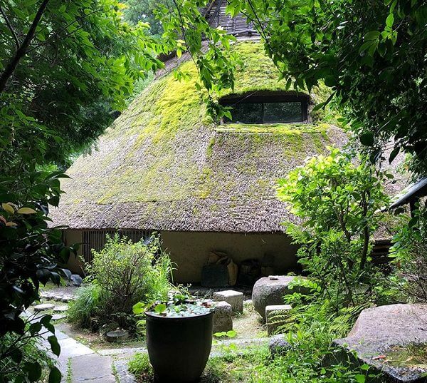 まだま村