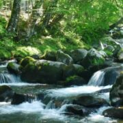 大阪☆北摂地域、高槻市のベジタリアン対応レストラン、カフェ３店 2