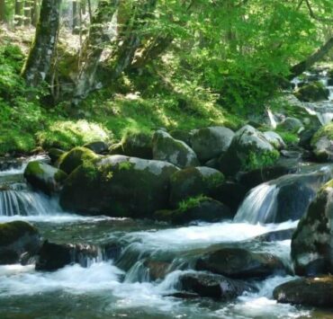 大阪☆北摂地域、高槻市のベジタリアン対応レストラン、カフェ３店 7