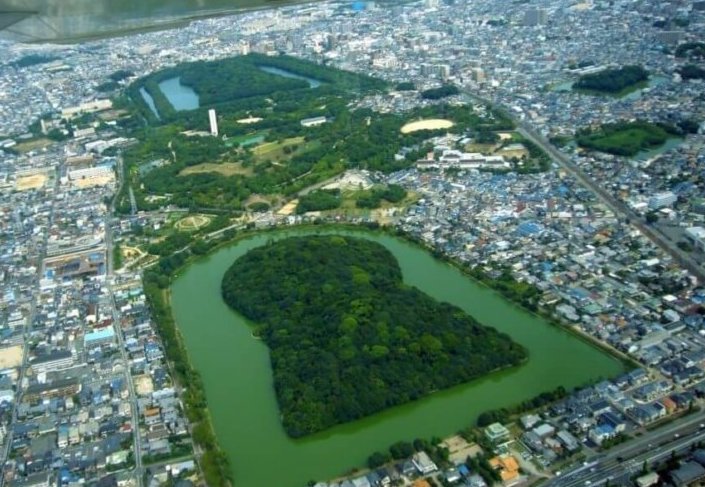 大阪☆泉州地域、堺市のベジタリアン対応レストラン、カフェ３店 10