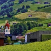 大阪、北摂地域☆茨木市のベジタリアン対応レストラン、カフェ２店 2