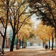 東京☆駒沢公園周辺のヴィーガン(ビーガン)対応レストランカフェ 2