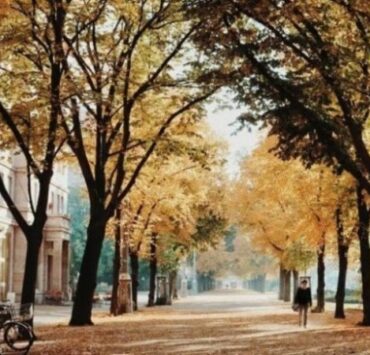 東京☆駒沢公園周辺のヴィーガン(ビーガン)対応レストランカフェ 9