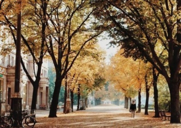 東京☆駒沢公園周辺のヴィーガン(ビーガン)対応レストランカフェ 4