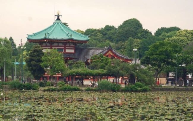 東京☆台東区上野駅周辺のベジタリアン、ヴィーガン対応２店 9