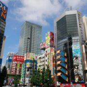 東京☆秋葉原・新御茶ノ水・神保町ヴィーガン(ビーガン)対応店 2