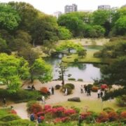 東京☆文京区~豊島区の駒込周辺ベジタリアン,ヴィーガン対応店 2