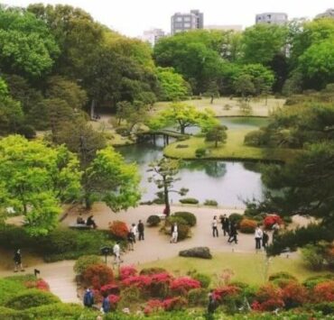 東京☆文京区~豊島区の駒込周辺ベジタリアン,ヴィーガン対応店 5