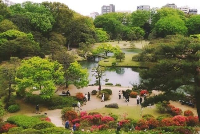 東京☆文京区~豊島区の駒込周辺ベジタリアン,ヴィーガン対応店 9