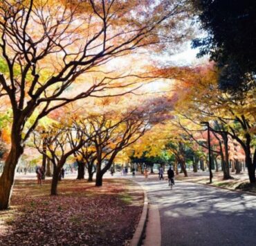 東京☆代々木公園周辺、代々木八幡、代々木上原ベジタリアン対応店 5