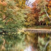 東京☆渋谷区神泉周辺のベジタリアン、ヴィーガン(ビーガン)対応店 2