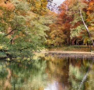東京☆渋谷区神泉周辺のベジタリアン、ヴィーガン(ビーガン)対応店 7