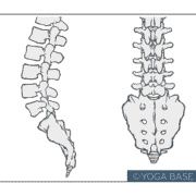 ねじりのポーズの新しいやり方｜ねじる順番は上から？下から？ どちらが効果的？ 1