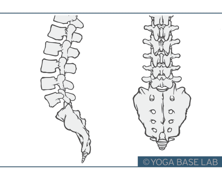 ねじりのポーズの新しいやり方｜ねじる順番は上から？下から？ どちらが効果的？ 7