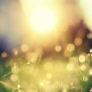 頑張らなくても努力も不要？！幸福感を感じる方法～１ 2