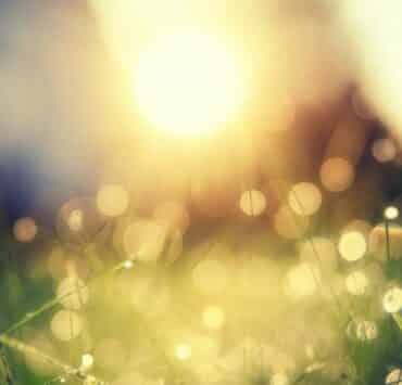 頑張らなくても努力も不要？！幸福感を感じる方法～１ 2