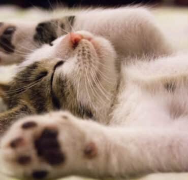 な～んだ大丈夫だったんだ！安心領域でリラックスするには？ 7