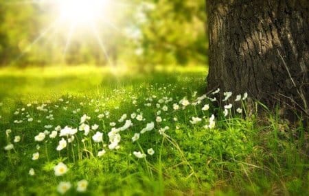 解釈を手放して、「ありのまま」にOKすると波動も上がる! 4