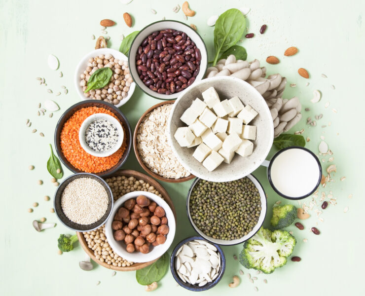 タンパク質どうする？ヴィーガン、ベジタリアンが食べるべき食材２１選
