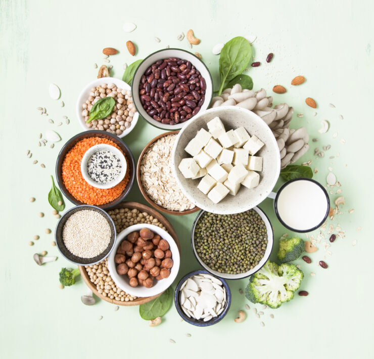 タンパク質どうする？ヴィーガン、ベジタリアンが食べるべき食材２１選