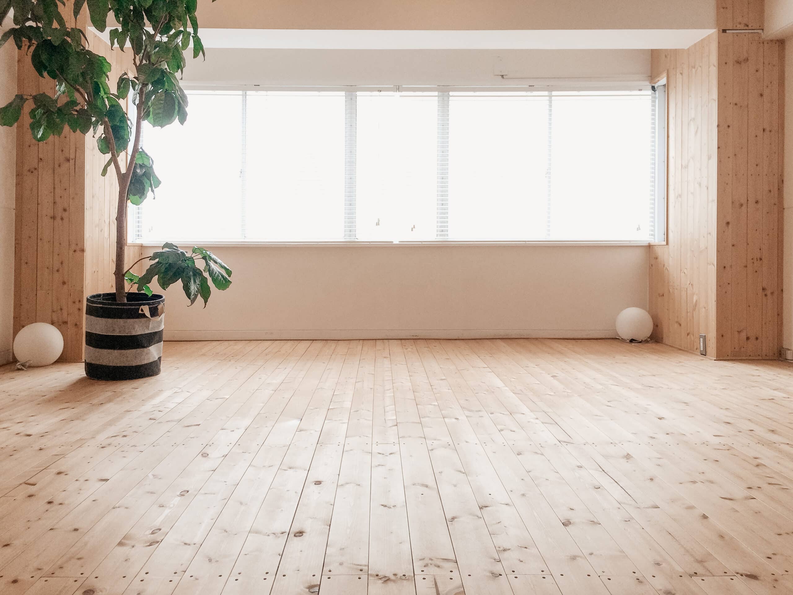 東京銀座　ハスヨガ