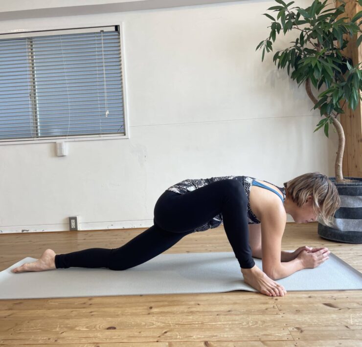 トカゲのポーズ