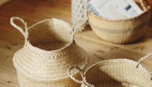 Events ハスヨガ銀座《東京》 -常温・少人数制・無垢床 ヨガ教室